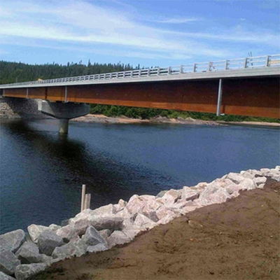 Ponte de pedestres de aço de faixa única fornecedor